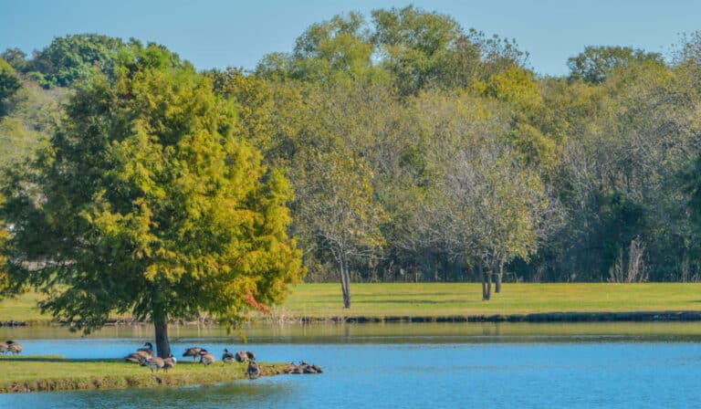Best Rural Places to Live Near Dallas Texas: Top 5 Picks ...